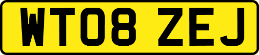 WT08ZEJ