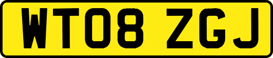 WT08ZGJ