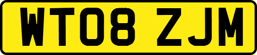 WT08ZJM