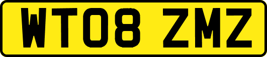 WT08ZMZ