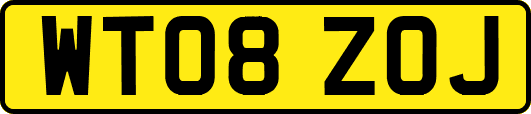 WT08ZOJ