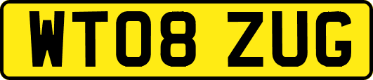 WT08ZUG