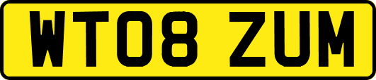 WT08ZUM