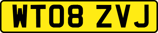 WT08ZVJ