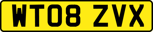 WT08ZVX