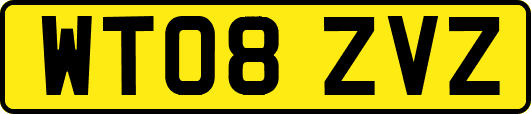 WT08ZVZ