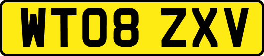 WT08ZXV