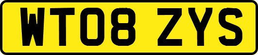 WT08ZYS