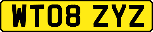 WT08ZYZ
