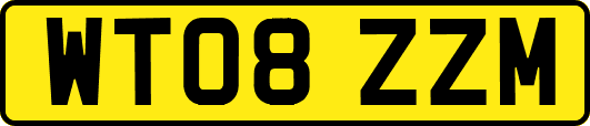 WT08ZZM