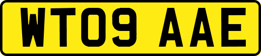WT09AAE