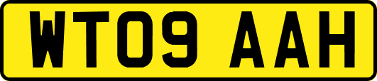 WT09AAH