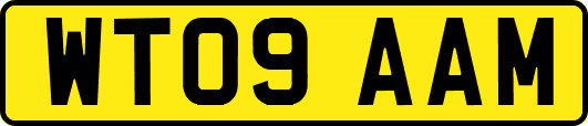 WT09AAM