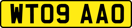 WT09AAO