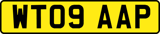 WT09AAP