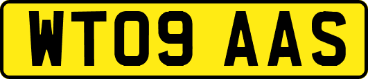WT09AAS