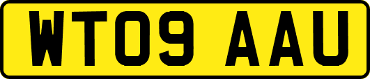 WT09AAU