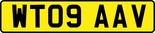 WT09AAV