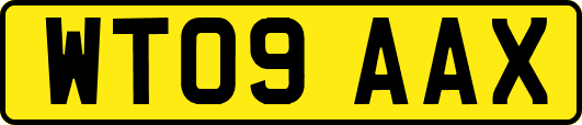 WT09AAX