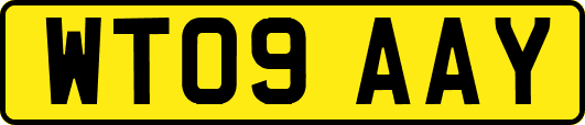WT09AAY