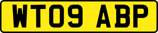 WT09ABP