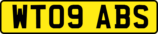 WT09ABS