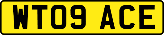 WT09ACE