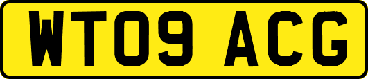 WT09ACG
