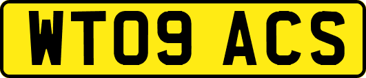 WT09ACS