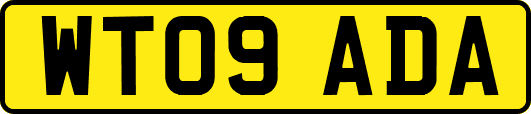 WT09ADA