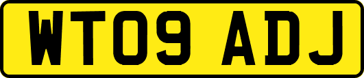 WT09ADJ