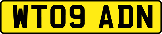 WT09ADN