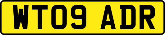 WT09ADR