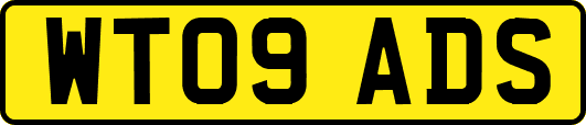 WT09ADS