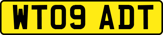 WT09ADT