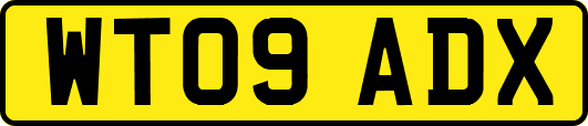 WT09ADX