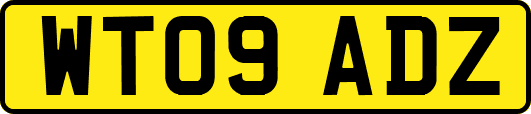 WT09ADZ