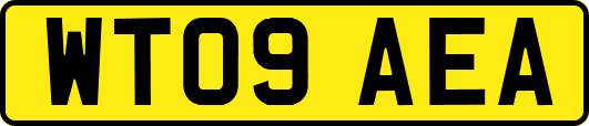 WT09AEA
