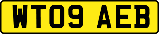 WT09AEB