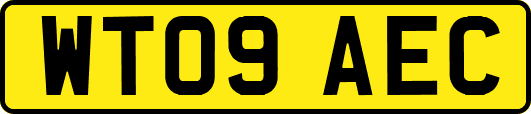 WT09AEC