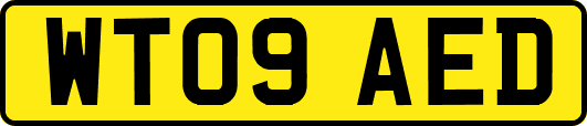 WT09AED