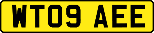 WT09AEE