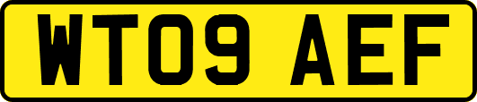 WT09AEF