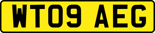 WT09AEG