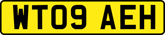 WT09AEH