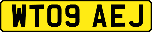 WT09AEJ