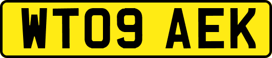 WT09AEK