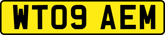 WT09AEM