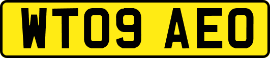 WT09AEO