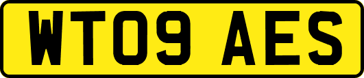 WT09AES